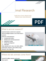 Animal Research 1