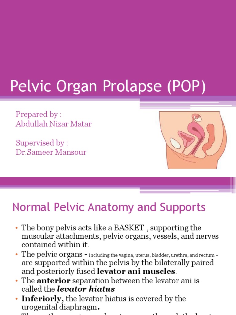 Understanding Pelvic Organ Prolapse | PDF | Vagina | Pelvis