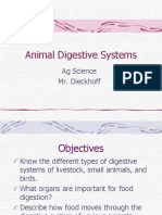 Animal Digestive Systems: Ag Science Mr. Dieckhoff