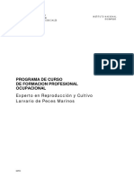 Programa de Curso de Formacion Profesional Ocupacional