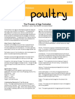 Egg Formartion PDF
