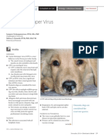 Canine Distemper Virus