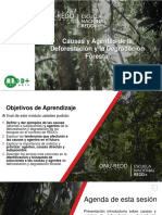 Modulo 4 C&a Deforestación Degradación Forestal 2da Escuela v2