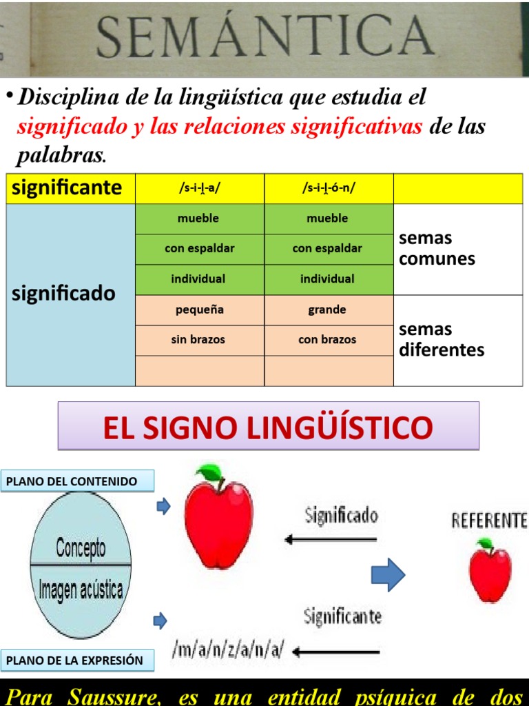Significado y Relaciones Lingüísticas | PDF | Ambigüedad | Verbo