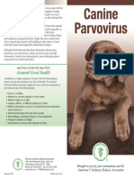 Parvo Brochure