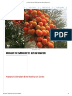 Arecanut Cultivation (Betel Nut) Information - Agrifarming