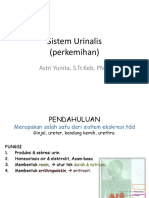 1. Sistem Perkemihan