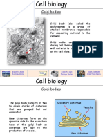 Golgi Bodies: Back To Main Biology Menu Back To Main Selection Menu Back To Cell Biology Menu