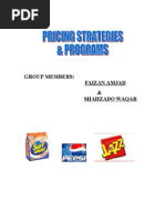 Download Pricing Strategy and Programs by nuplinzain SN3701110 doc pdf