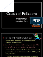 Causes of Pollutions: Prepared By: Seow Lee Fern