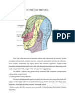 Anatomi Saraf Trigeminal