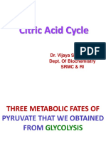 Citric Acid Cycle