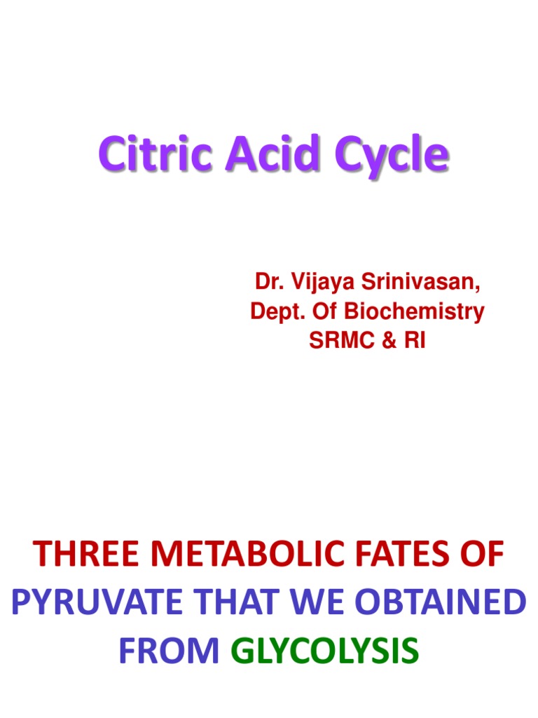 Citric Acid Cycle | PDF | Citric Acid Cycle | Diet & Nutrition