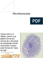 1 Micro Filament e