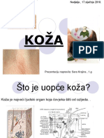 Koza