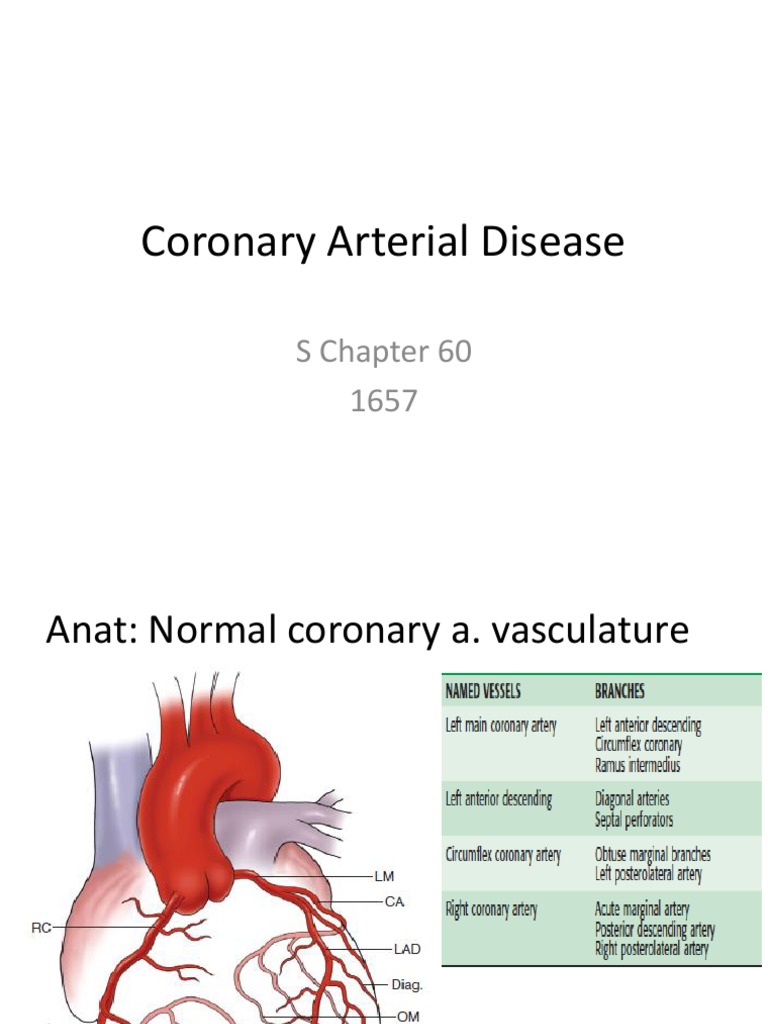 Coronary Arterial Disease | PDF | Coronary Circulation | Atheroma