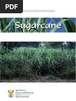 Sugar Cane Prodocution Guideline