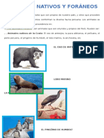 Animales Nativos y Foráneos