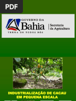Sumário Do Programa de Industrializaçãodo Cacau
