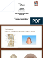 Exposición de Tórax