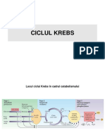 Metab. Glucidic - Curs 2