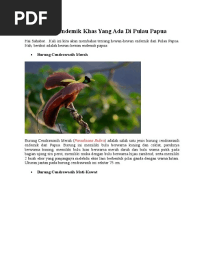 Hewan Endemik Khas Yang Ada Di Pulau Papua