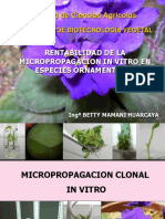 Micropropagación clonal de plantas ornamentales