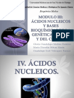 BIOQUIMICA Acidos Nucleicos 19