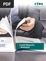 CTOS Credit Sample Report