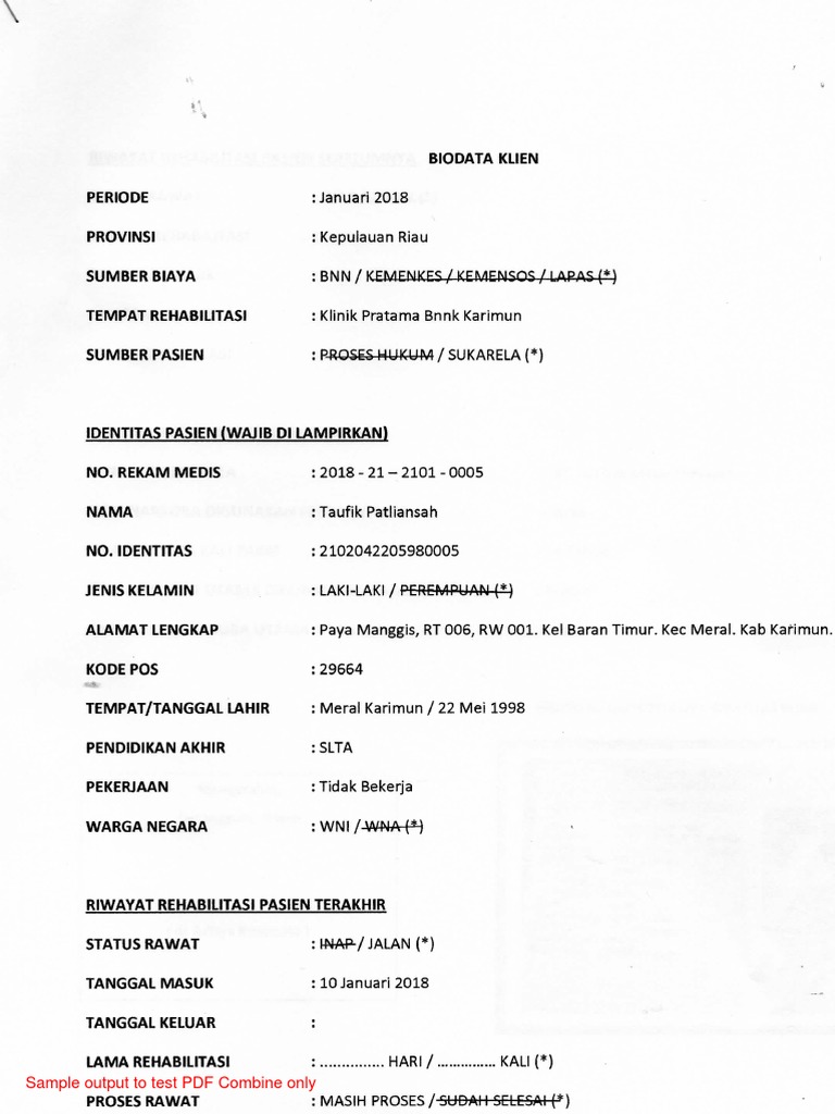 PDF Combine Output Test Sample | PDF