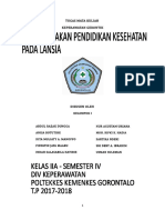 Makalah Model Pendidikan Kesehatan Pada Lansia - Ibu Fatma