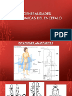 Clase 1. Generalidades Anatómicas Del Encefalo