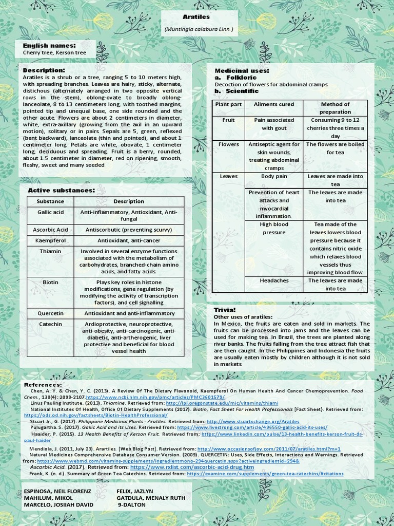 Aratiles - Information | Download Free PDF | Flavonoid | Trees