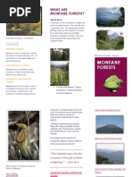 What Are Montane Forests?