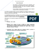 _ciclo_celular.pdf