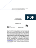Informe_Final_Costo_Economico_de_la_contaminacion_en_los_recursos_Hidrico.pdf
