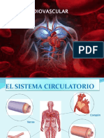 Sistema Cardiovascular