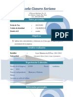 Curriculum Vitae Josúe