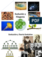 Clase Evolución