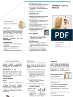 Triptico Primeros Auxilios Word PDF