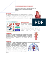 Componentes Del Sistema Cardiovascular