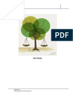 Derecho Ambiental Semana 1, Sintesis