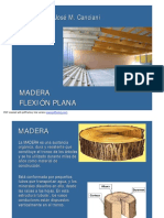 FlexionPlana2013.pdf