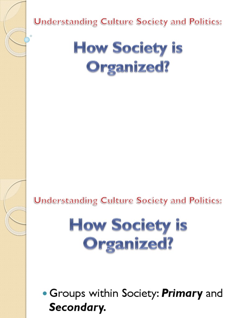 how society is organized essay