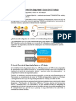 Comité Central de Seguridad Y Salud en El Trabajo