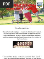 Abordagem Integral Do Idoso 2017.2