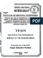 Tesis Modelo PDF