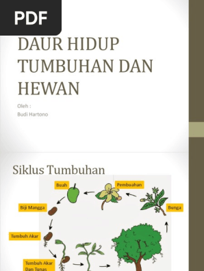 Daur Hidup Pdf