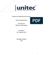 Sistema Organizacional de Su Organización