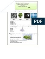 4º Básico Ciencias Naturales Prueba de Diagnóstico